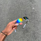 JULIET ARCOIRIS CYCLOPE
